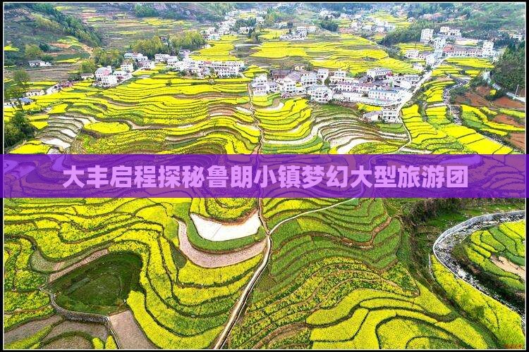 大丰启程探秘鲁朗小镇梦幻大型旅游团