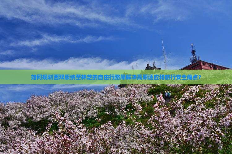 如何规划西双版纳至林芝的自由行路犀解决高原适应和旅行安全痛点？