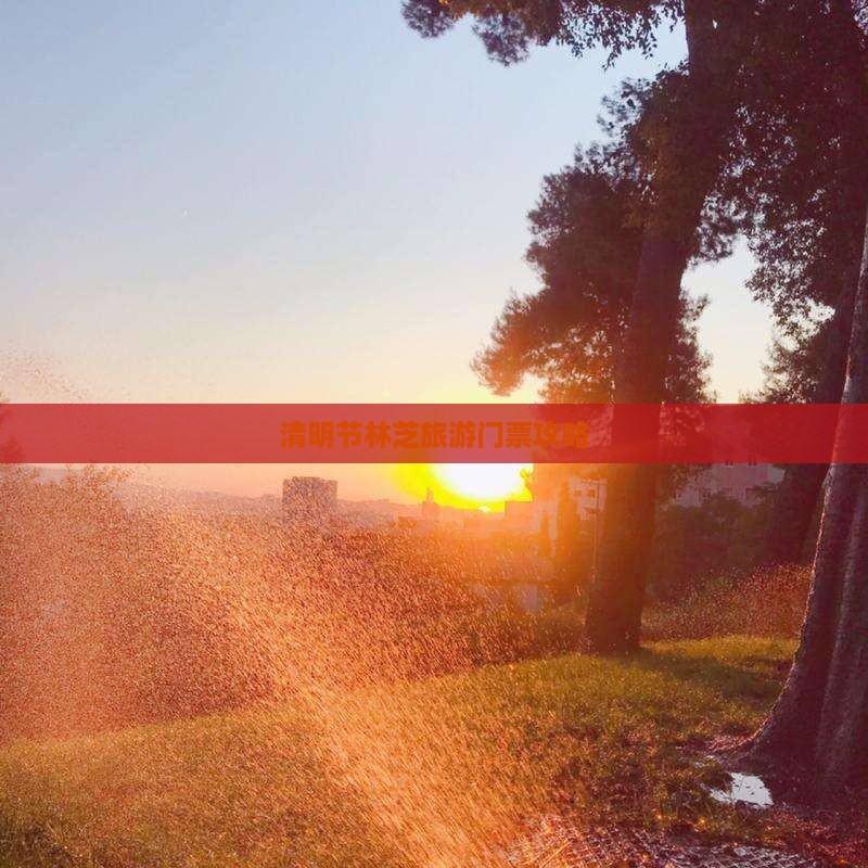 清明节林芝旅游门票攻略