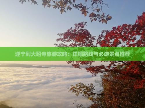 遂宁到大昭寺旅游攻略：详细路线与必游景点推荐