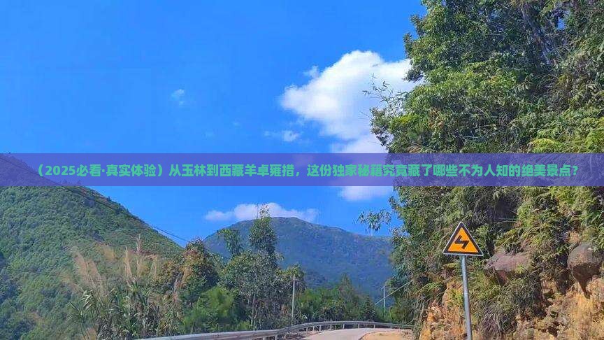 玉林去西藏羊卓雍措哪里玩