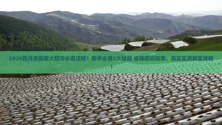 四月去西藏大昭寺攻略