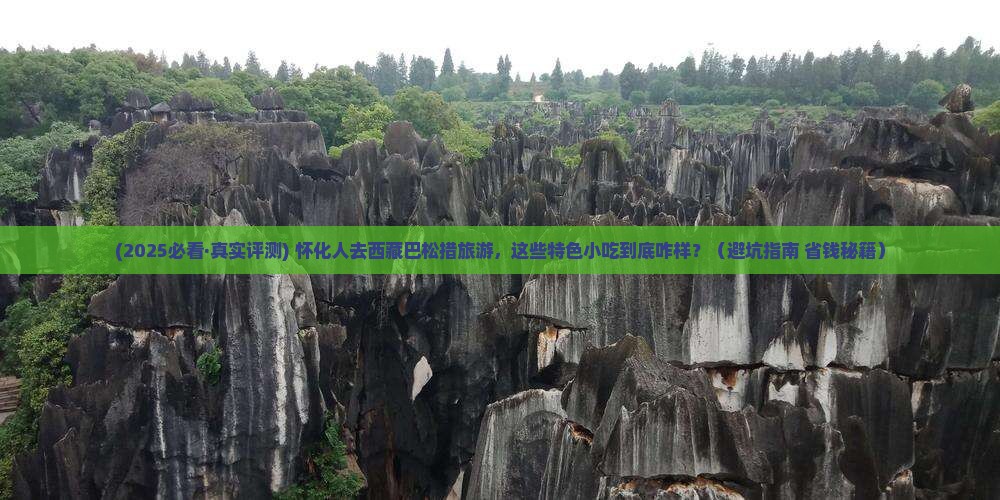 怀化去西藏巴松措旅游小吃