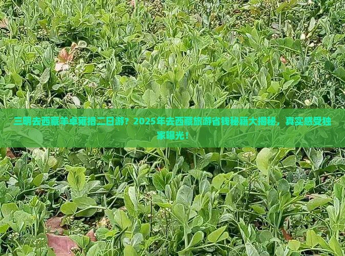三明去西藏羊卓雍措二日游