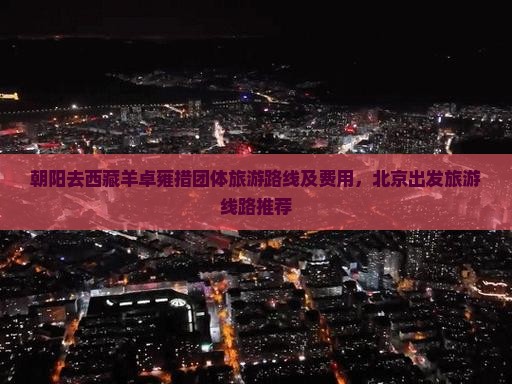 朝阳去西藏羊卓雍措团体旅游