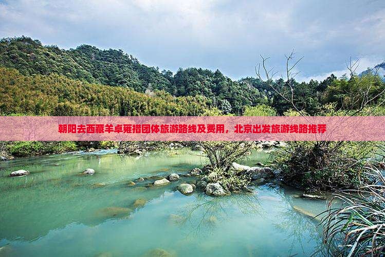 朝阳去西藏羊卓雍措团体旅游