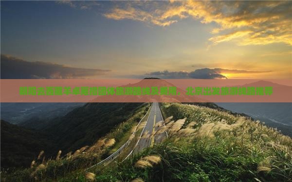 朝阳去西藏羊卓雍措团体旅游