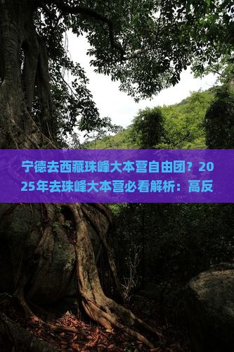 宁德去西藏珠峰大本营自由团