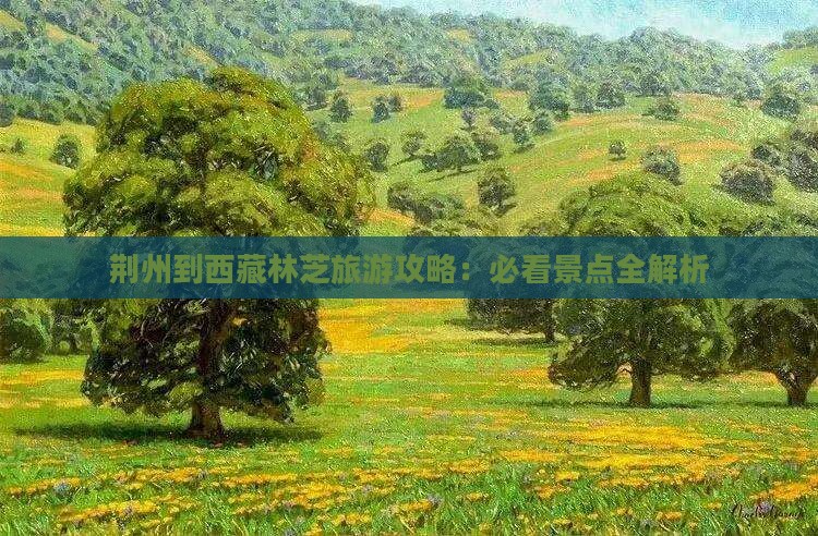 荆州去西藏林芝旅游