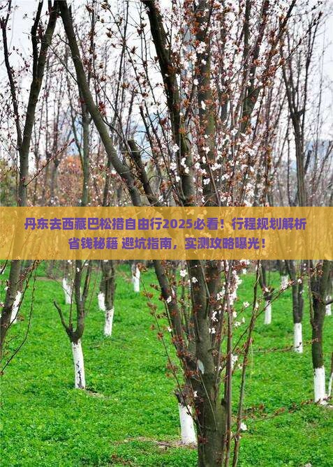 丹东去西藏巴松措自由行