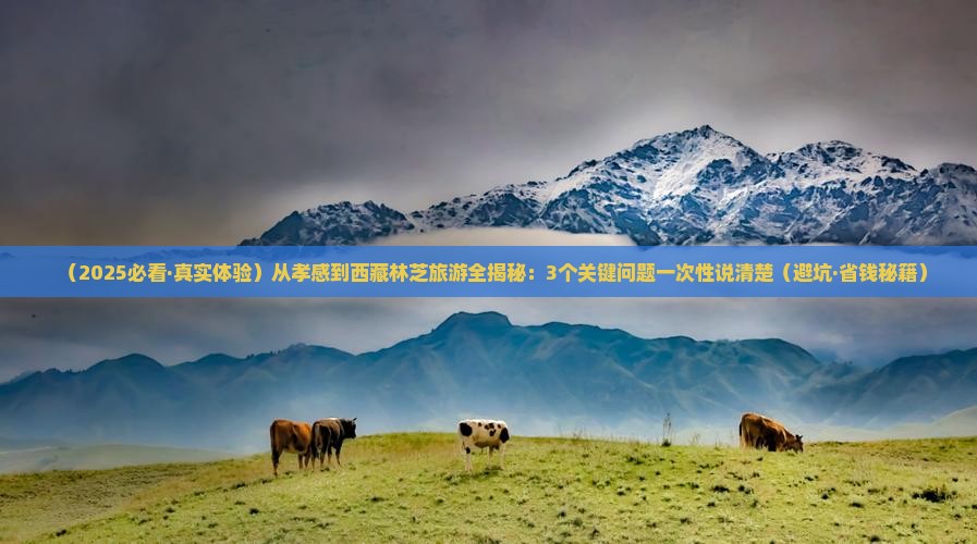 孝感去西藏林芝旅游