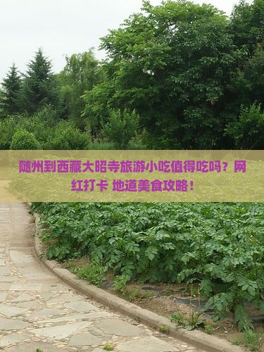 随州到西藏大昭寺旅游小吃