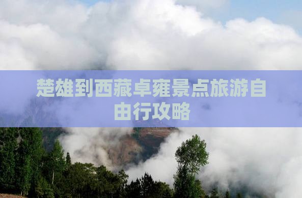楚雄去西藏羊卓雍措自由行