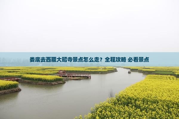 娄底去西藏大昭寺景点