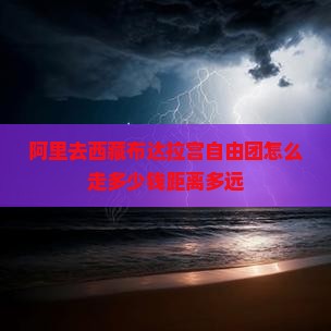 阿里去西藏布达拉宫自由团