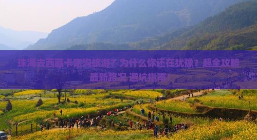珠海去西藏卡定沟旅游