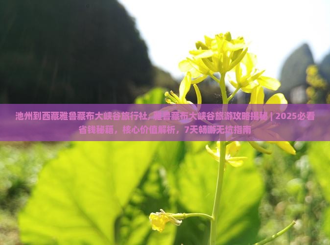 池州到西藏雅鲁藏布大峡谷旅行社