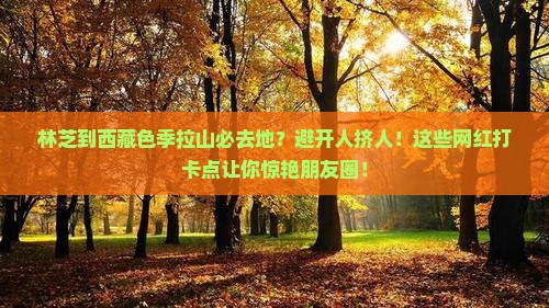 林芝到西藏色季拉山必去地