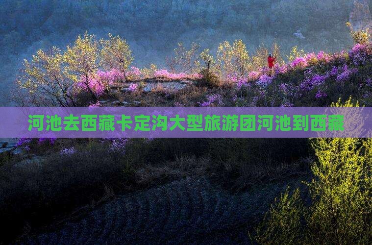 河池去西藏卡定沟大型旅游团