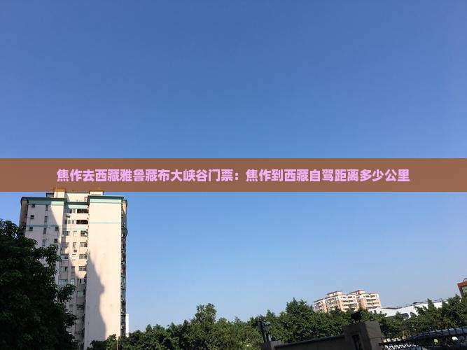 焦作去西藏雅鲁藏布大峡谷门票