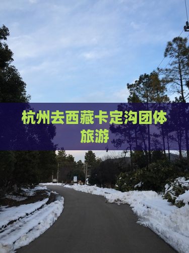 杭州去西藏卡定沟团体旅游