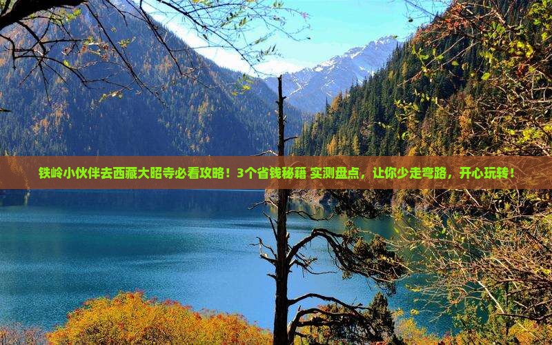 铁岭去西藏大昭寺景点