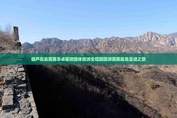 葫芦岛去西藏羊卓雍措团体旅游