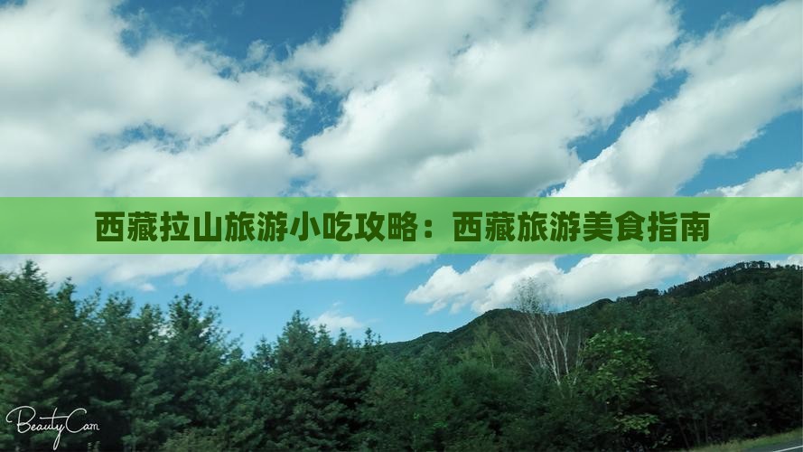 南平去西藏色季拉山旅游小吃