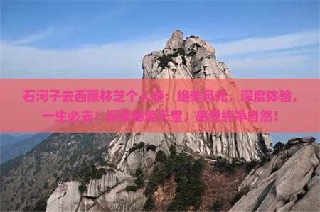 石河子去西藏林芝个人游