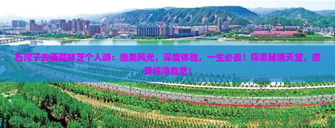 石河子去西藏林芝个人游