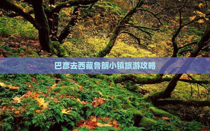 巴彦倬尔去西藏鲁朗小镇团体旅游
