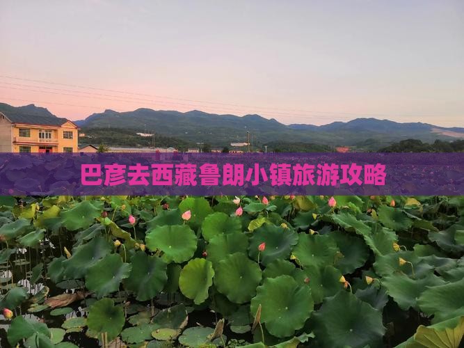 巴彦倬尔去西藏鲁朗小镇团体旅游