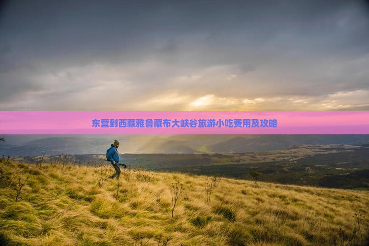 东营到西藏雅鲁藏布大峡谷旅游小吃