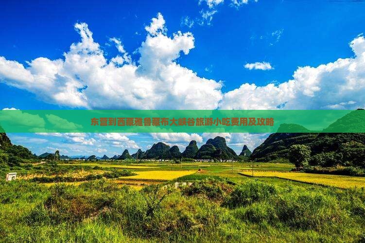 东营到西藏雅鲁藏布大峡谷旅游小吃
