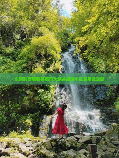 东营到西藏雅鲁藏布大峡谷旅游小吃