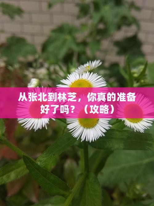 张北去西藏林芝自由行