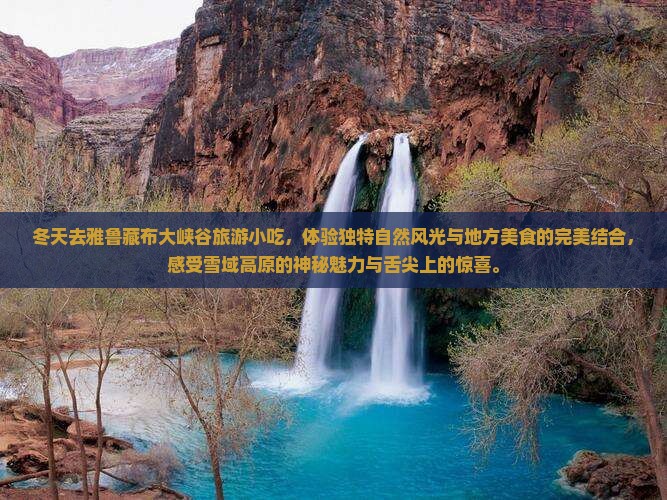 冬天去西藏雅鲁藏布大峡谷旅游小吃