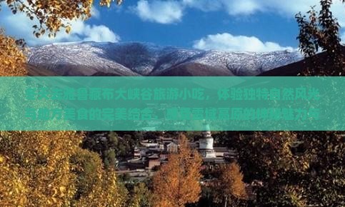 冬天去西藏雅鲁藏布大峡谷旅游小吃