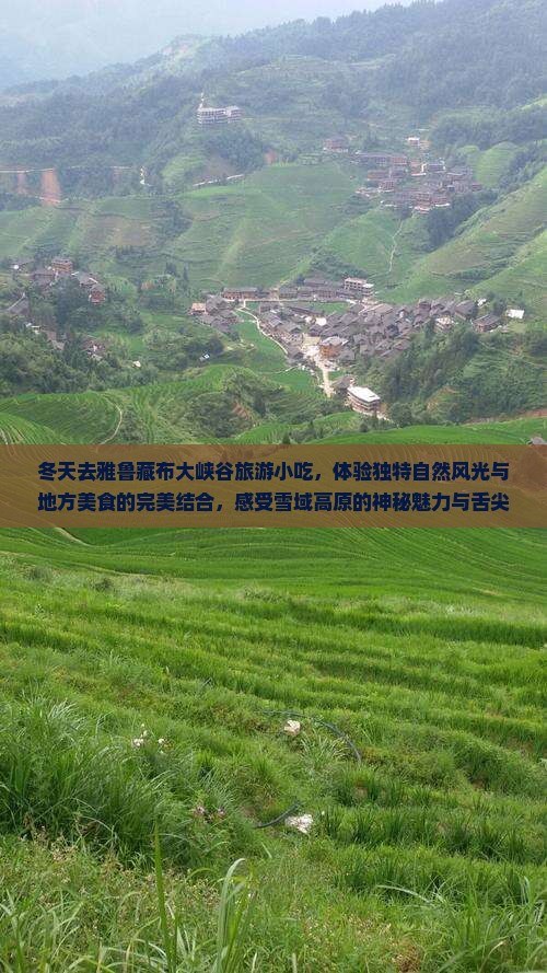 冬天去西藏雅鲁藏布大峡谷旅游小吃