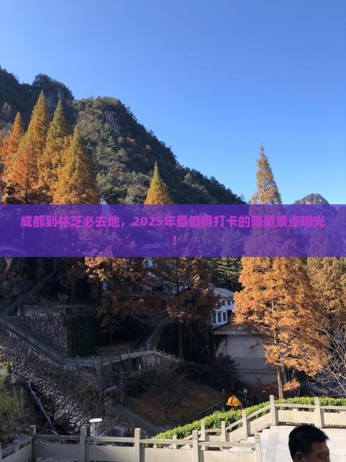 成都到西藏林芝必去地
