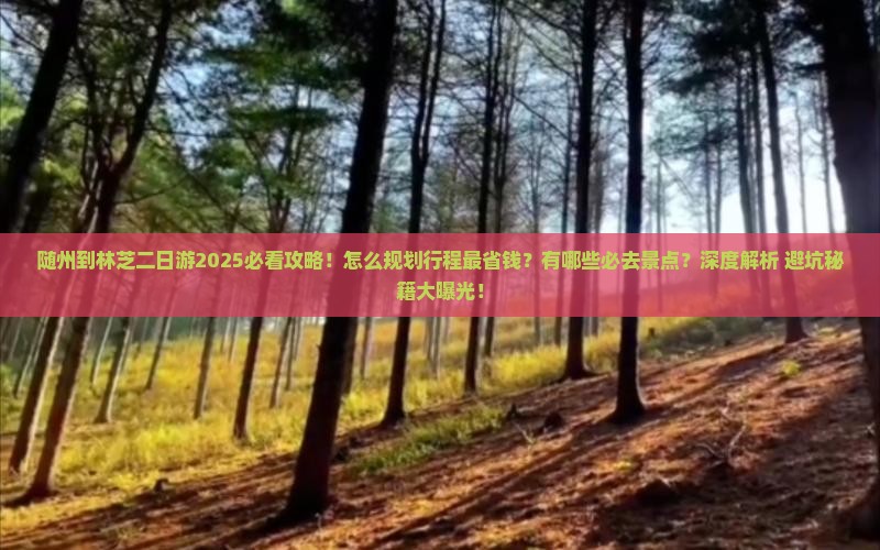 随州到西藏林芝二日游