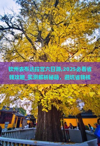 钦州去西藏布达拉宫六日游