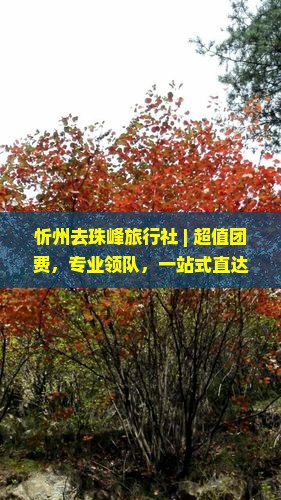 忻州去西藏珠峰大本营旅行社
