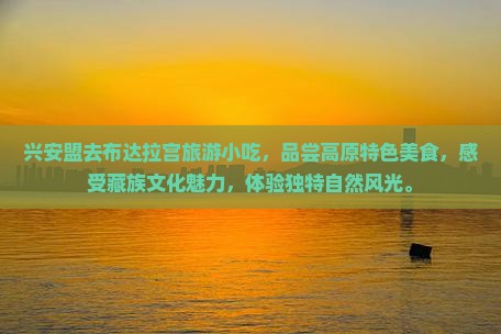 兴安盟去西藏布达拉宫旅游小吃