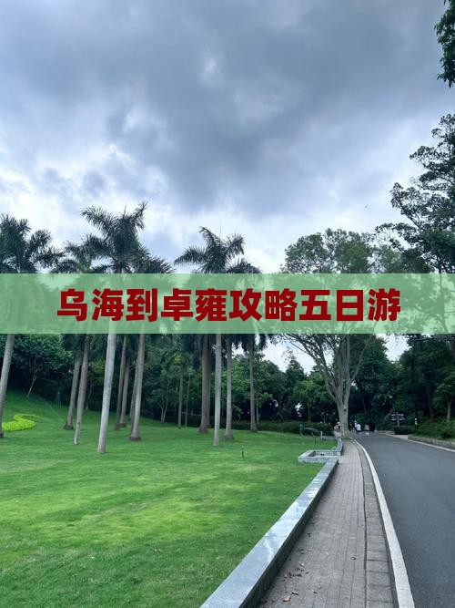 乌海市到西藏羊卓雍措五日游