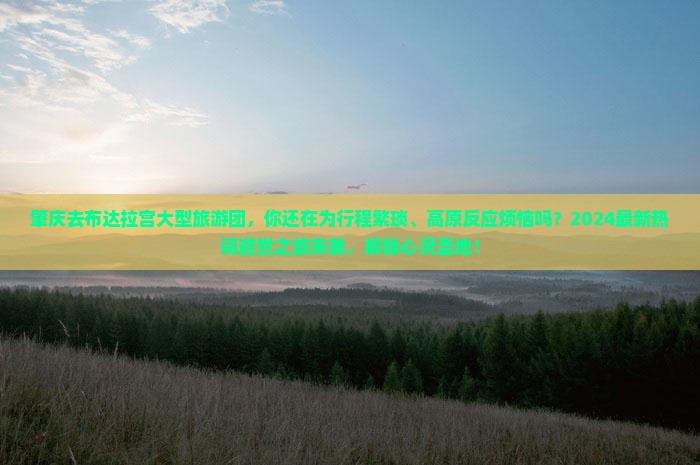 肇庆去西藏布达拉宫大型旅游团