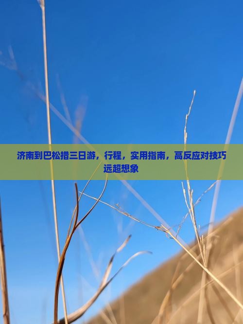 济南到西藏巴松措三日游