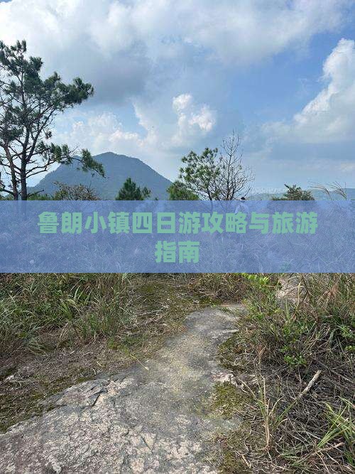昭通去西藏鲁朗小镇四日游