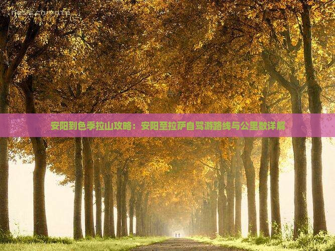安阳到西藏色季拉山攻略