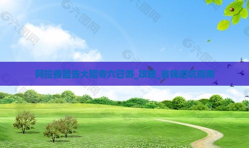 阿拉善盟去西藏大昭寺六日游